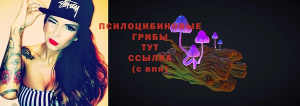 мяу мяу мука Коряжма
