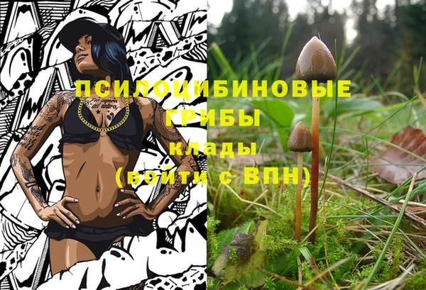 скорость Костерёво