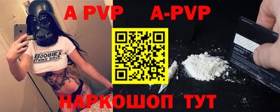 тгк Кингисепп