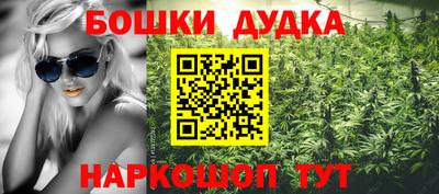 шишки Конаково