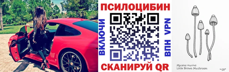 кракен ONION  Кострома  Псилоцибиновые грибы прущие грибы 