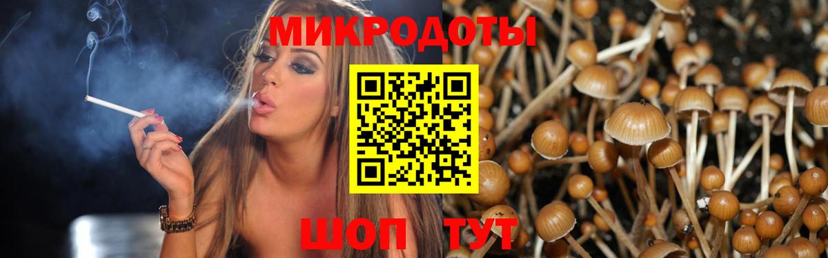 Галлюциногенные грибы ЛСД Кострома